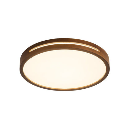Solace Ring Ceiling Light
