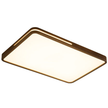 Solace Ring Ceiling Light