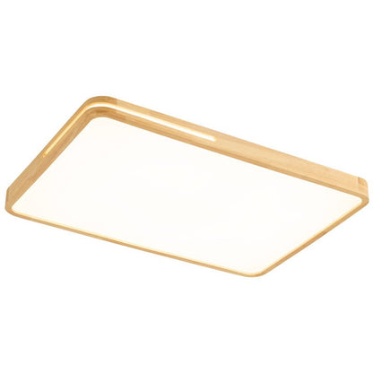 Solace Ring Ceiling Light