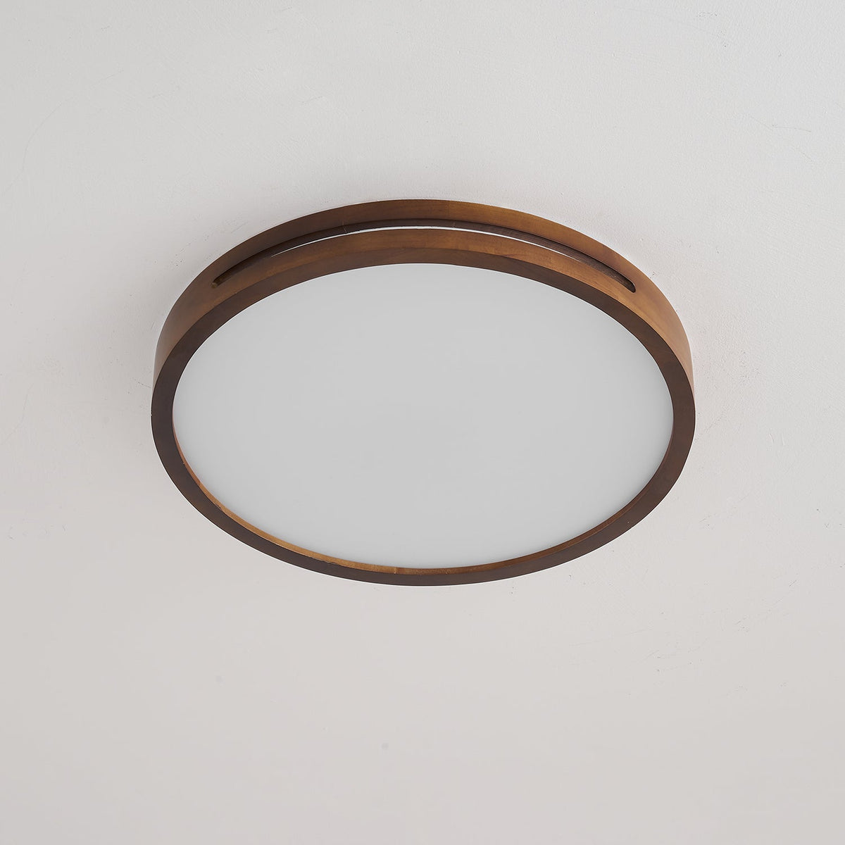 Solace Ring Ceiling Light