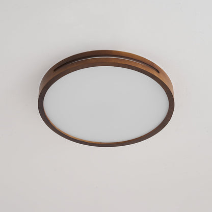 Solace Ring Ceiling Light