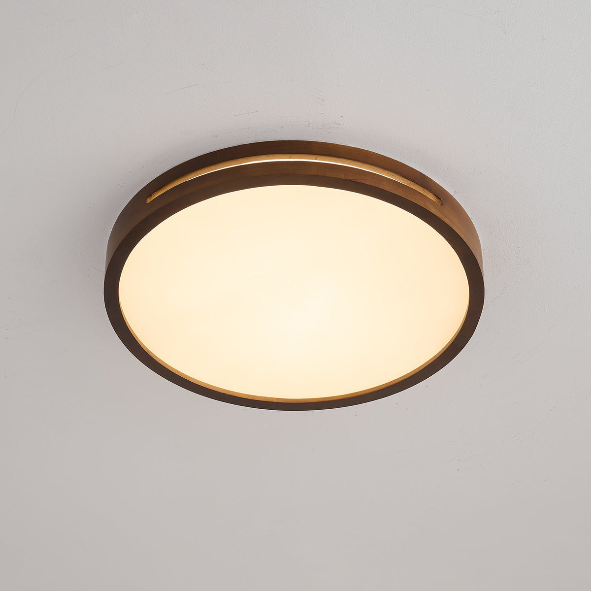 Solace Ring Ceiling Light