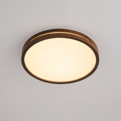 Solace Ring Ceiling Light