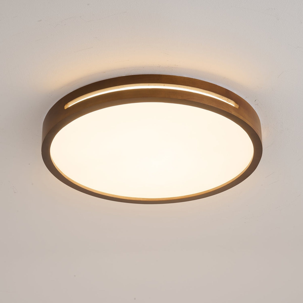 Solace Ring Ceiling Light