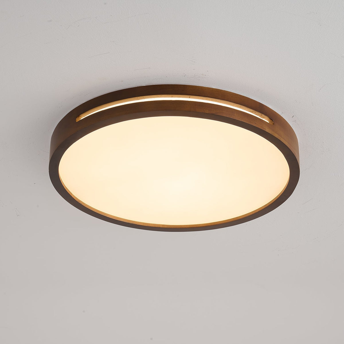 Solace Ring Ceiling Light