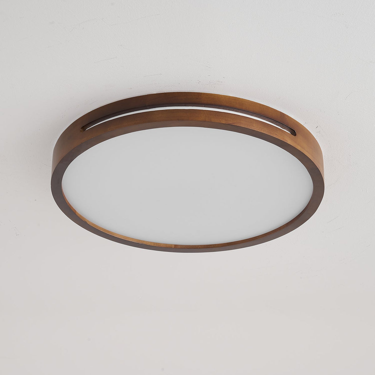 Solace Ring Ceiling Light