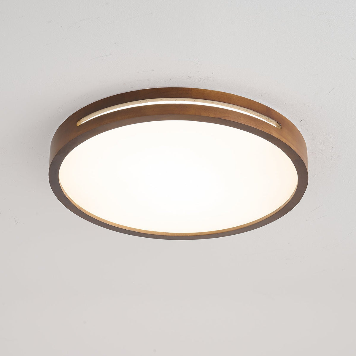 Solace Ring Ceiling Light