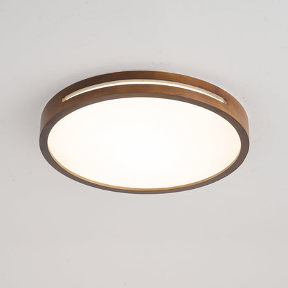 Solace Ring Ceiling Light