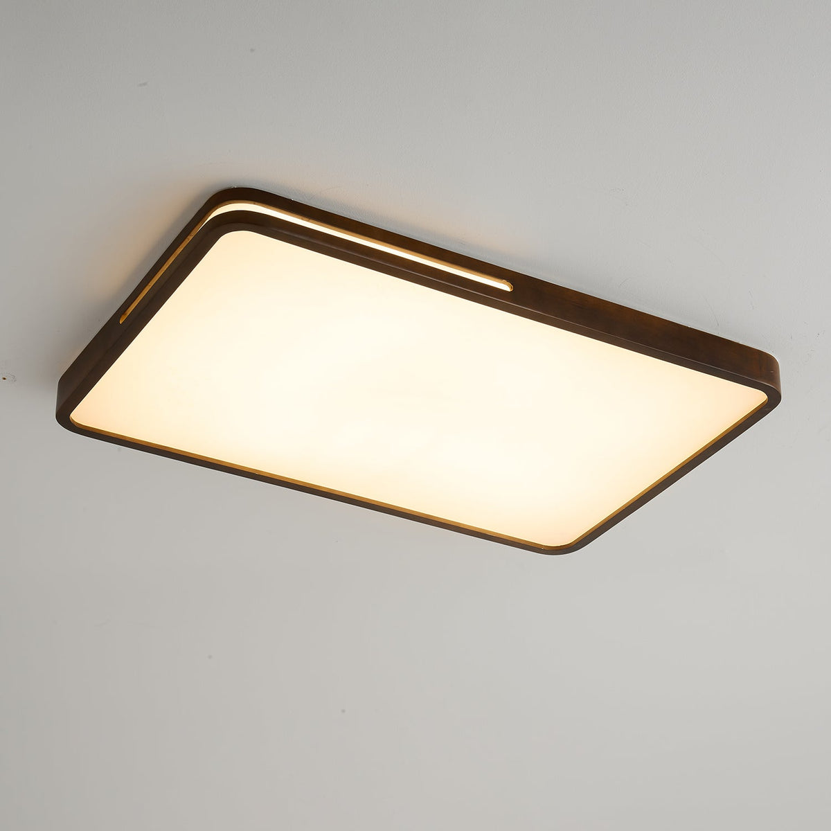 Solace Ring Ceiling Light