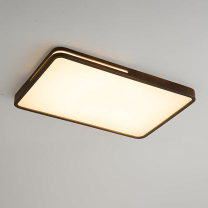 Solace Ring Ceiling Light