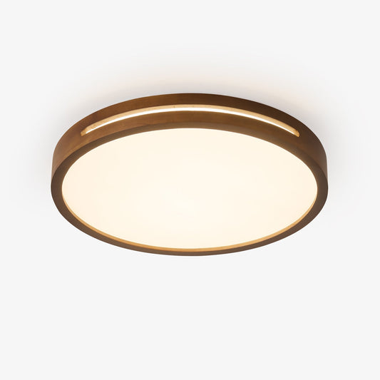 Solace Ring Ceiling Light
