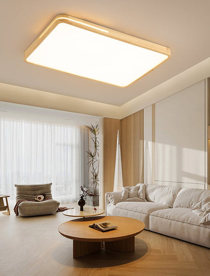 Solace Ring Ceiling Light