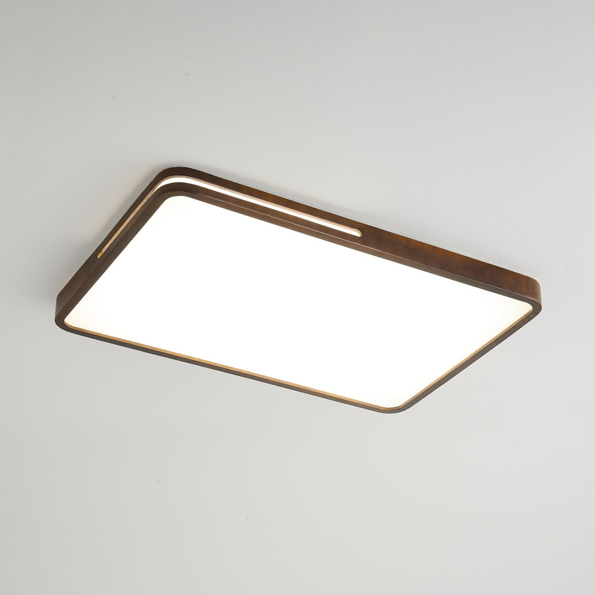 Solace Ring Ceiling Light