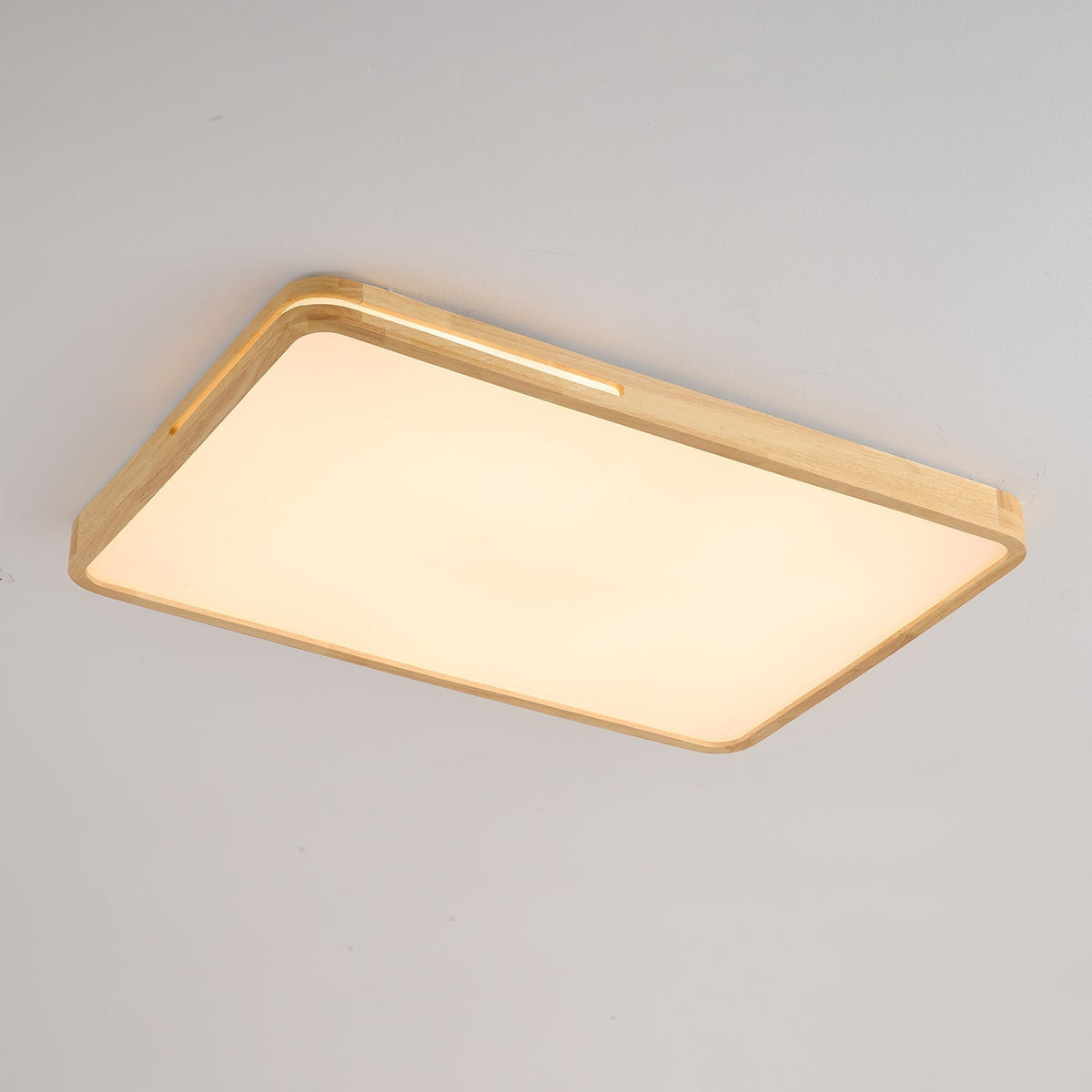 Solace Ring Ceiling Light