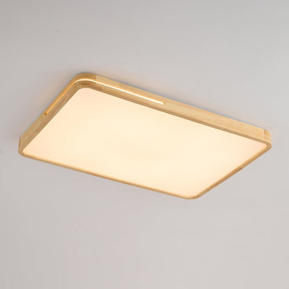 Solace Ring Ceiling Light