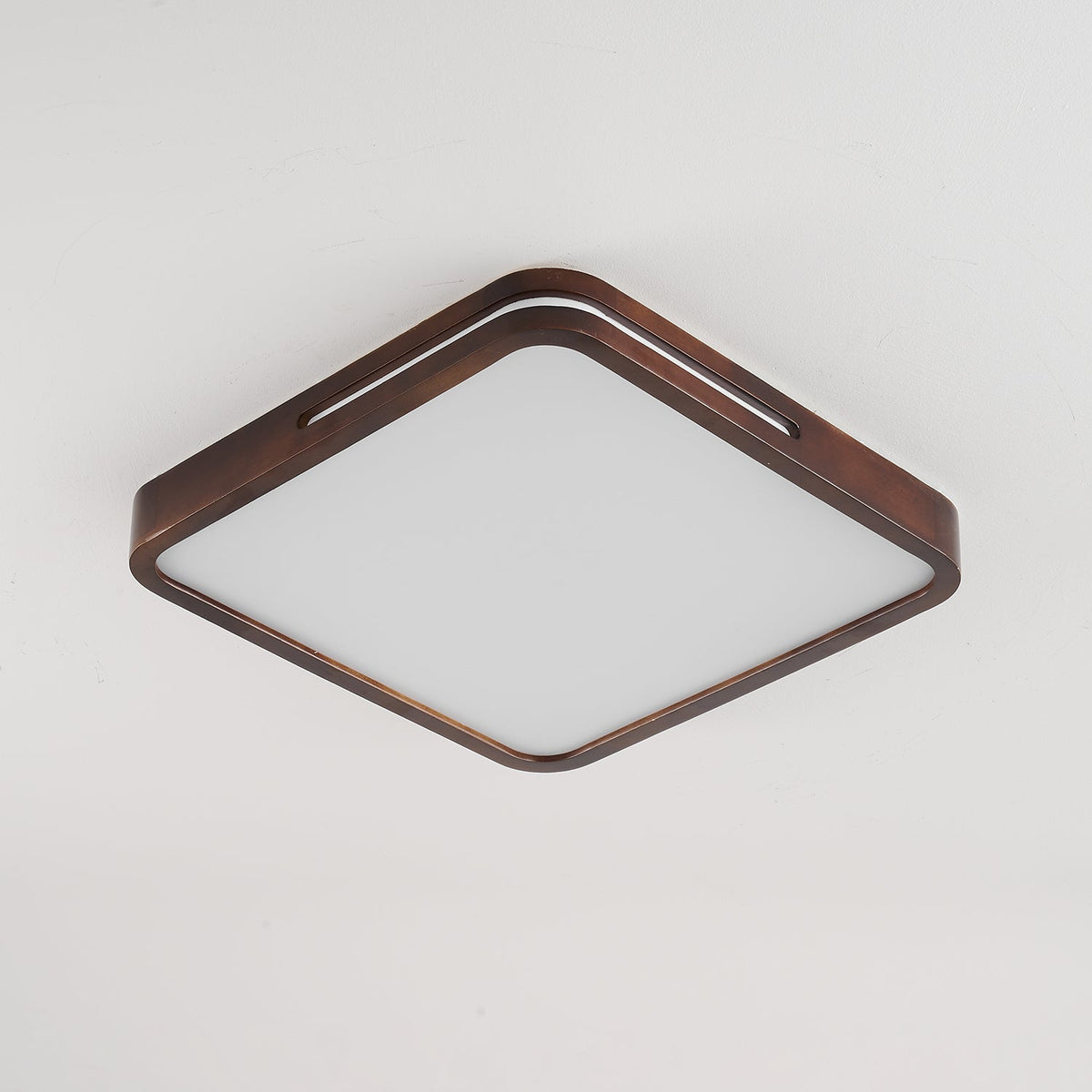 Solace Ring Ceiling Light