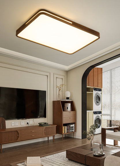 Solace Ring Ceiling Light