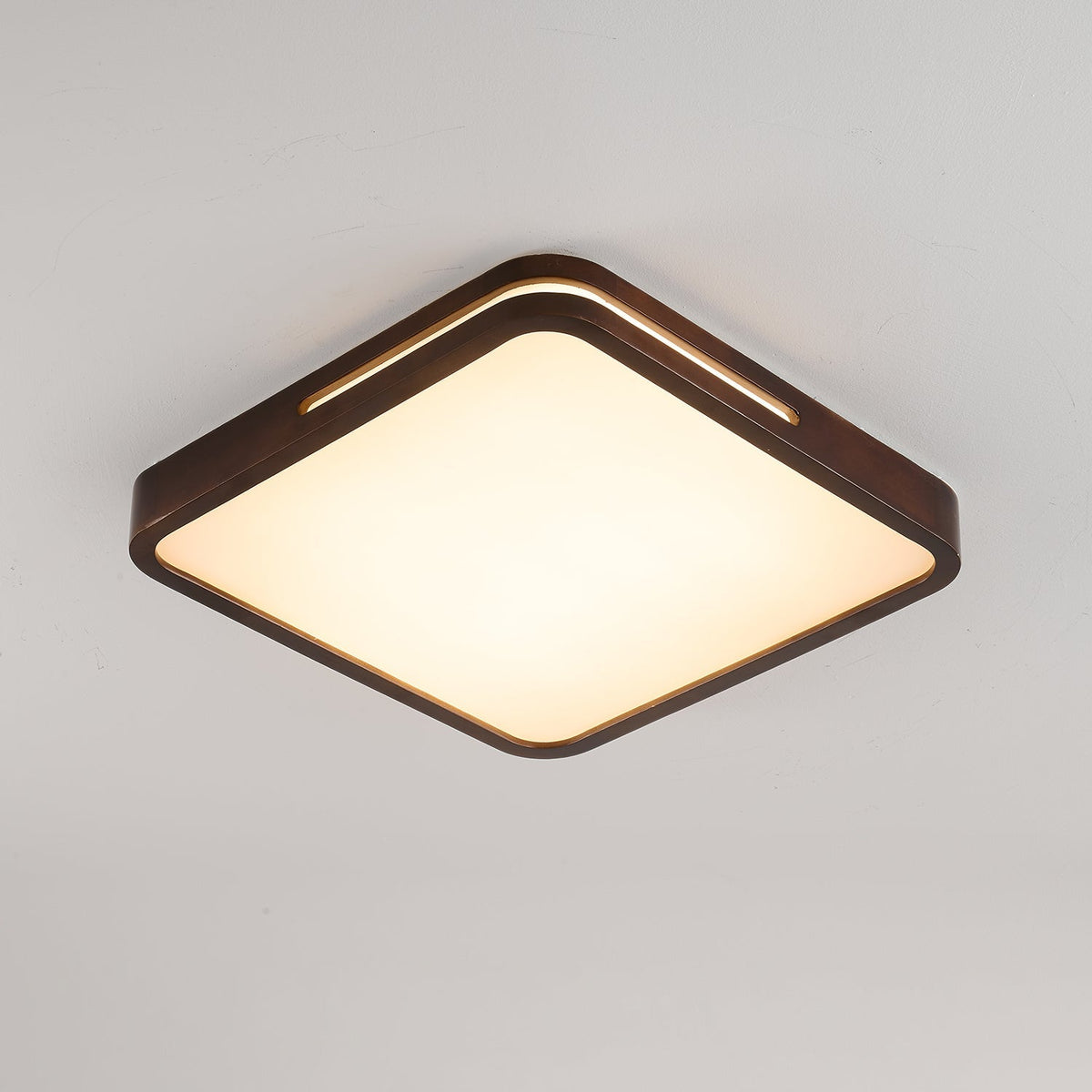 Solace Ring Ceiling Light