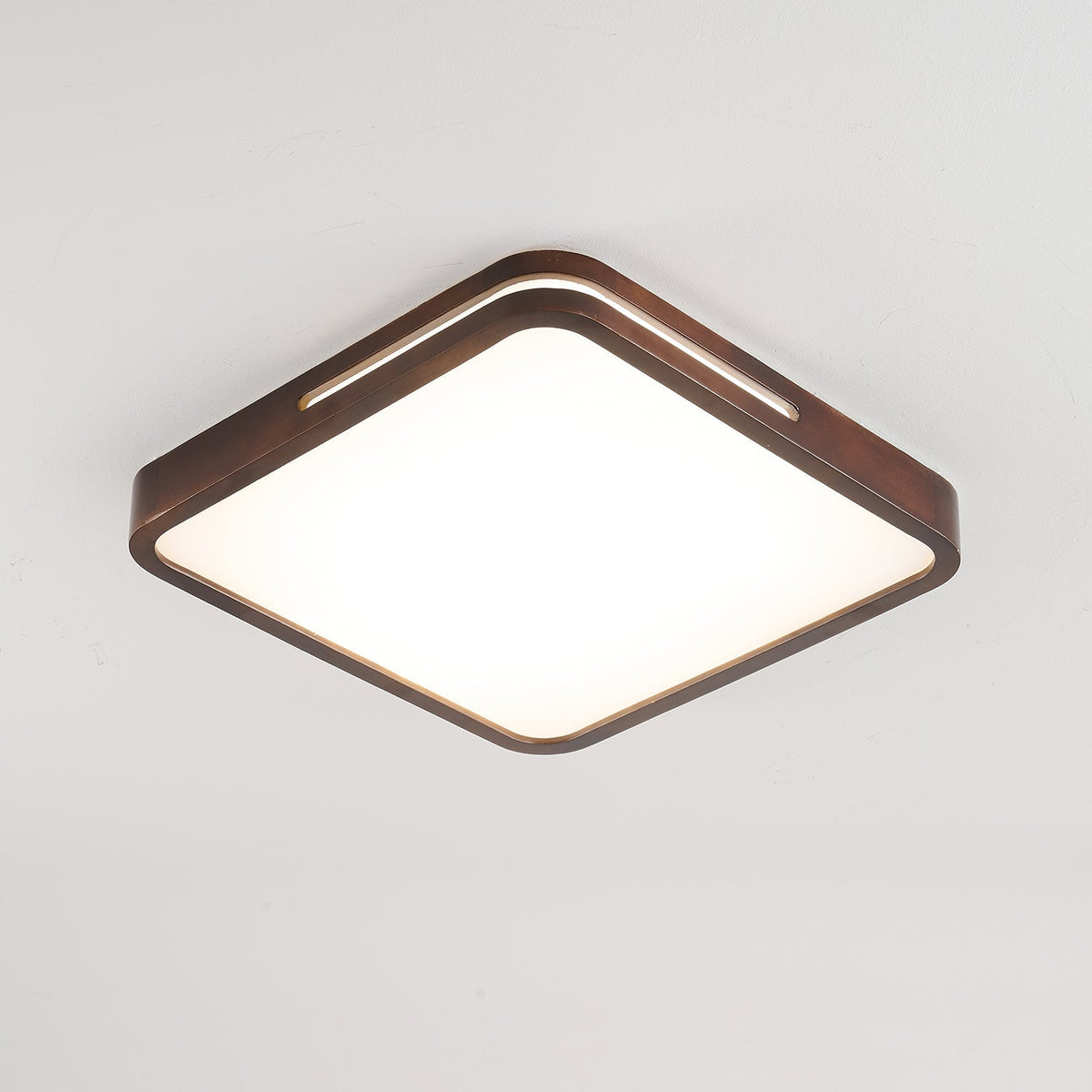 Solace Ring Ceiling Light