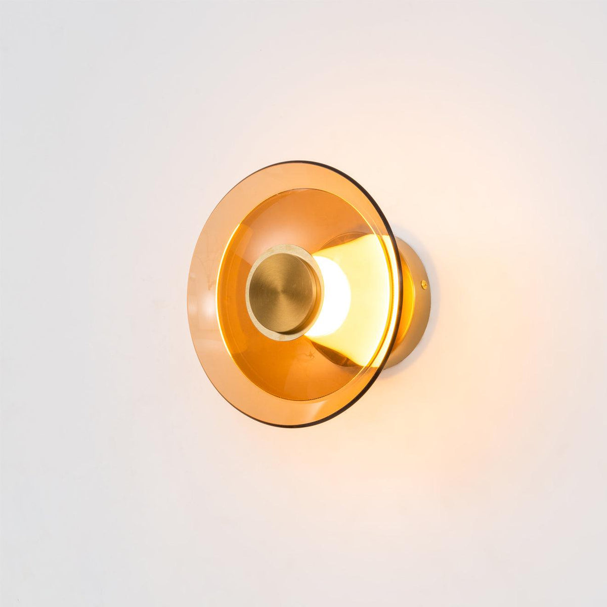 Tint Disc Wall Light