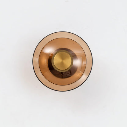Tint Disc Wall Light