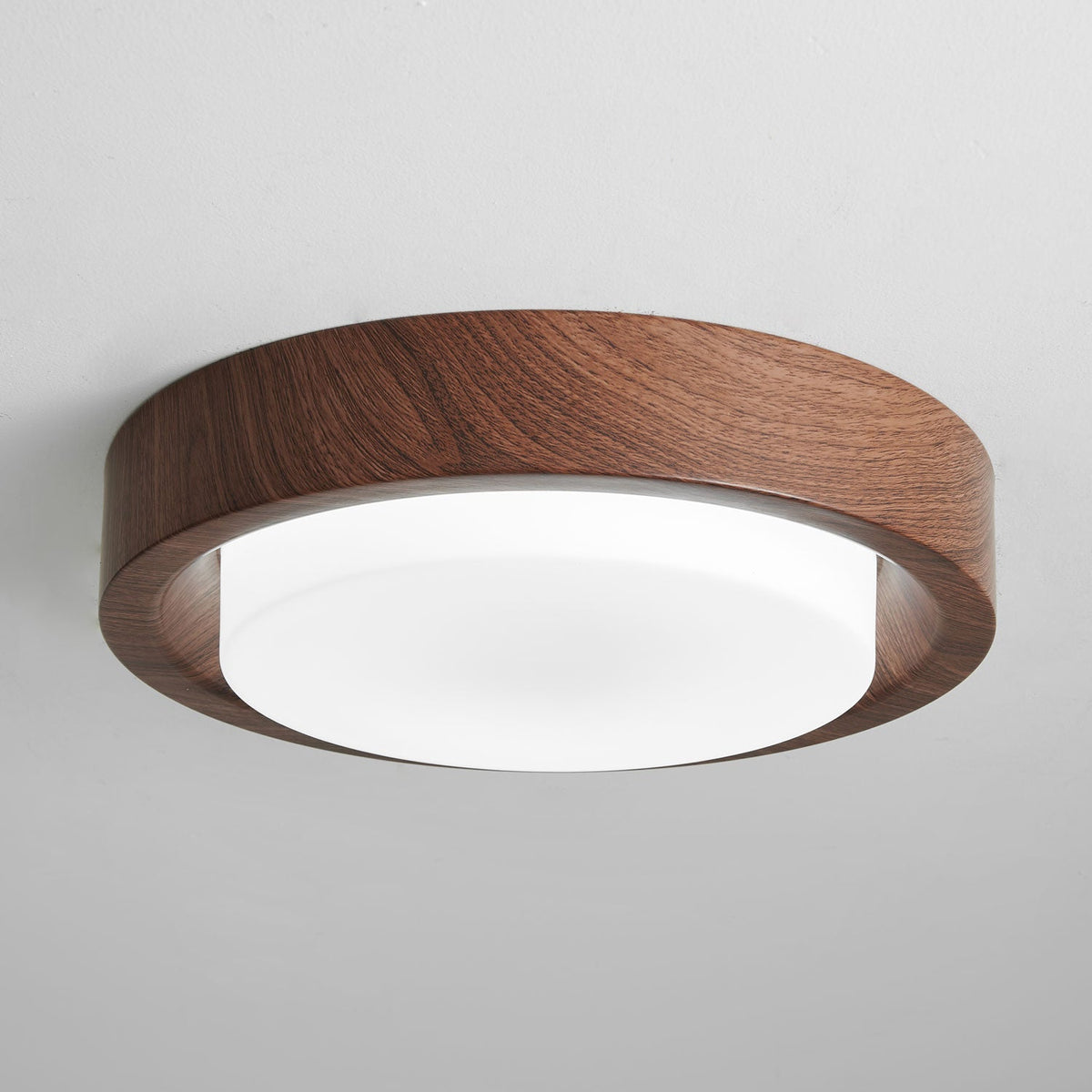 Bower Ring Ceiling Light