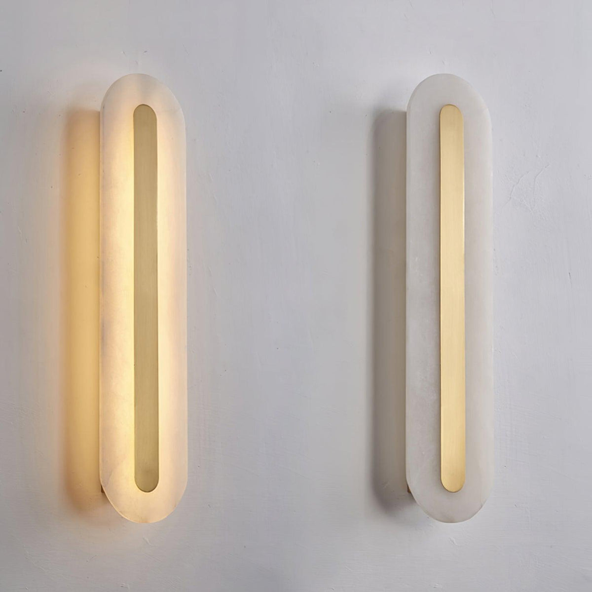 Vein Outline Wall Light