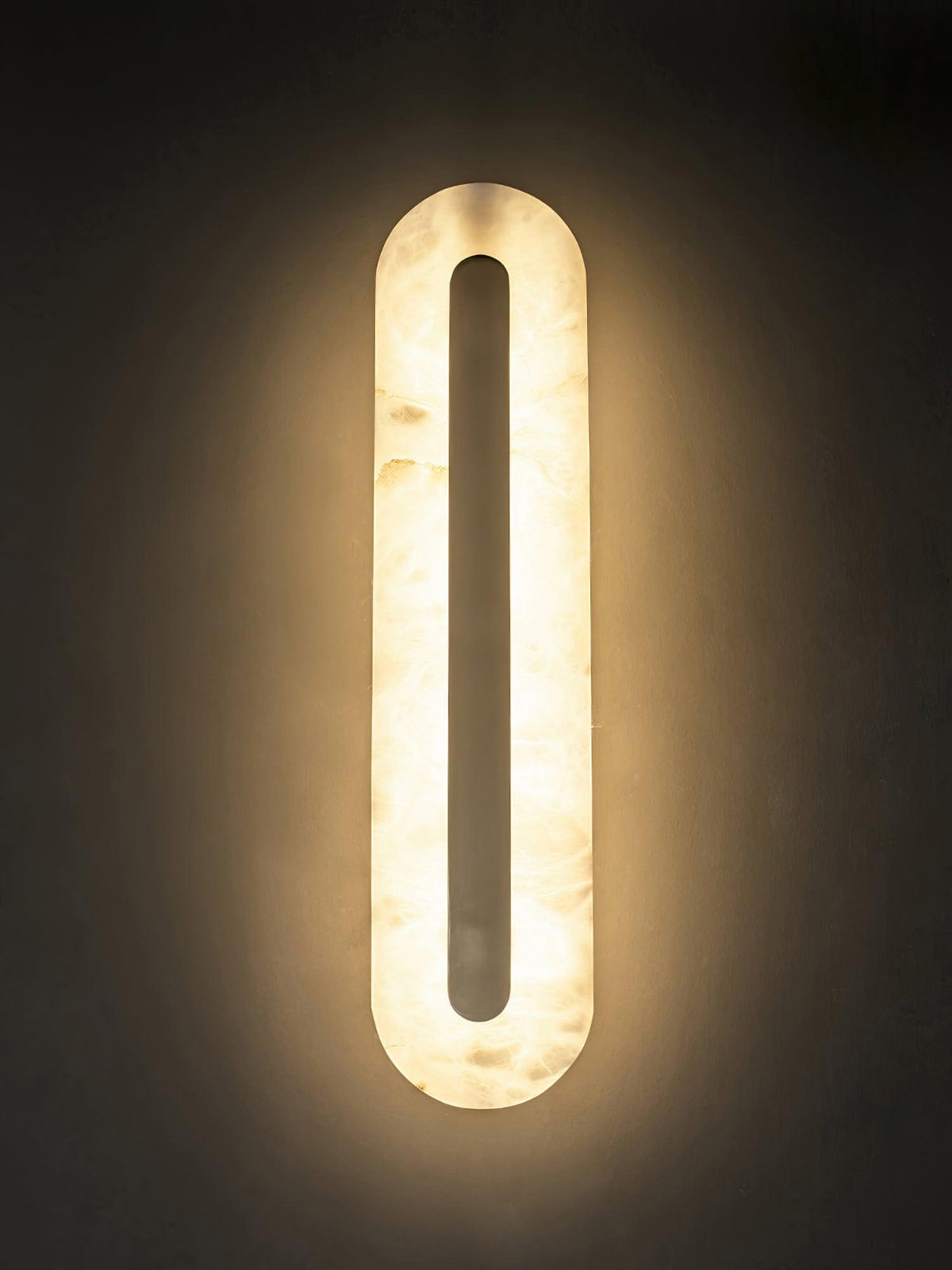 Vein Outline Wall Light