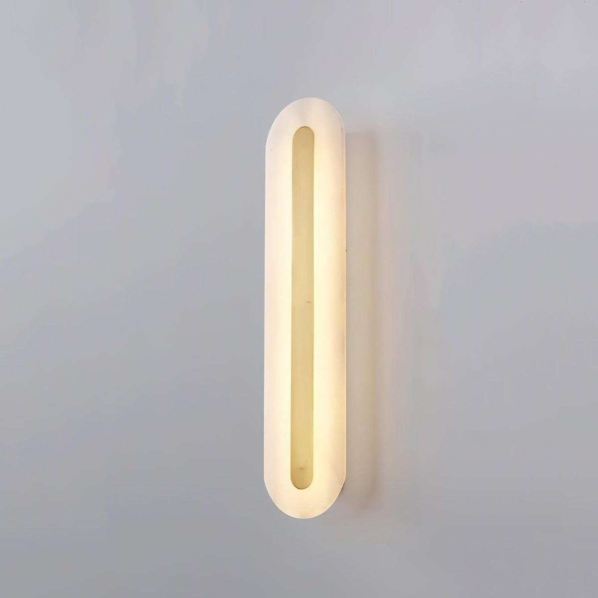Vein Outline Wall Light