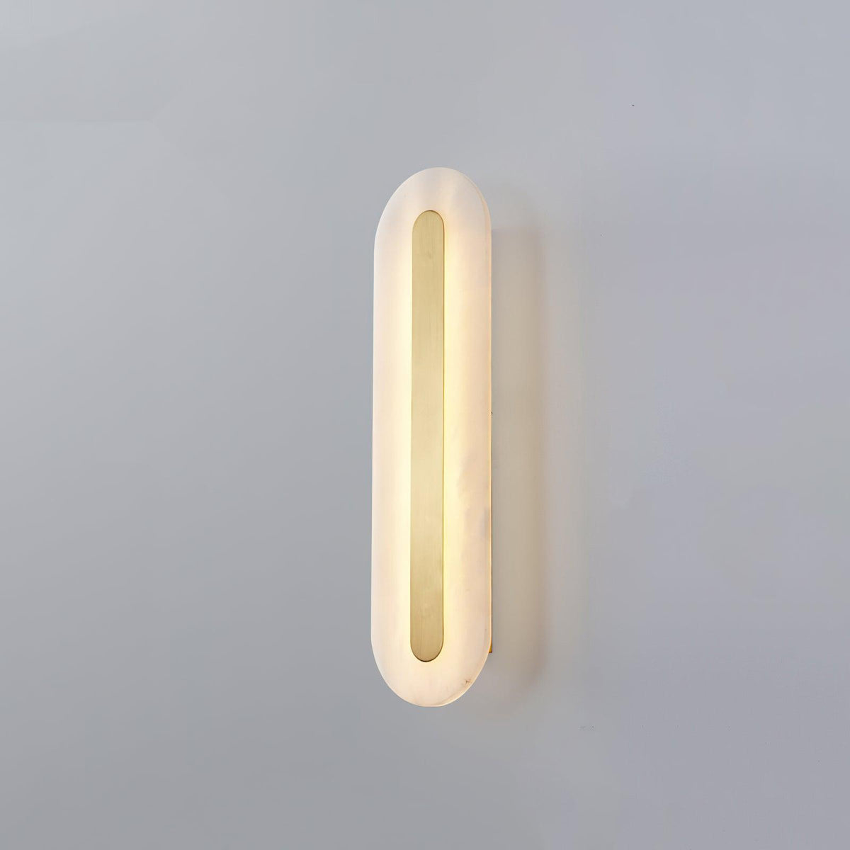 Vein Outline Wall Light