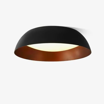 Nocturne Curve Ceiling Light