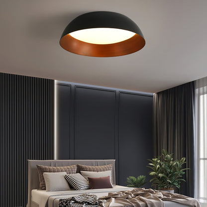 Nocturne Curve Ceiling Light