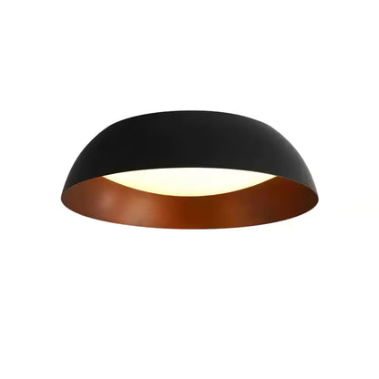 Nocturne Curve Ceiling Light