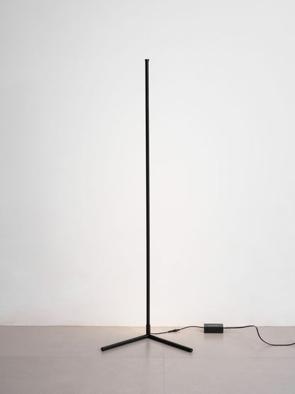 Fine Line Floor Lamp