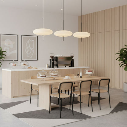 Lowline Oval Pendant Light