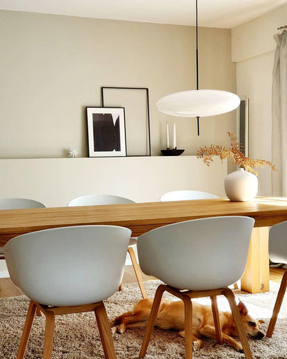 Lowline Oval Pendant Light