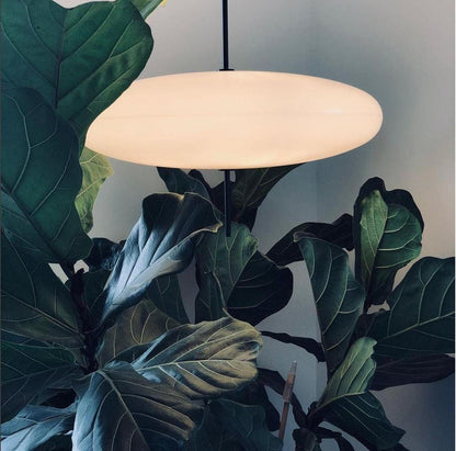 Lowline Oval Pendant Light