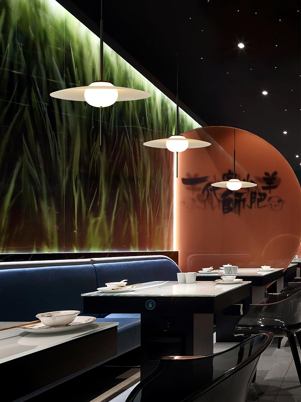Fine Disc Pendant Light