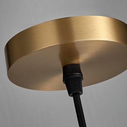 Vein Capsule Pendant Light