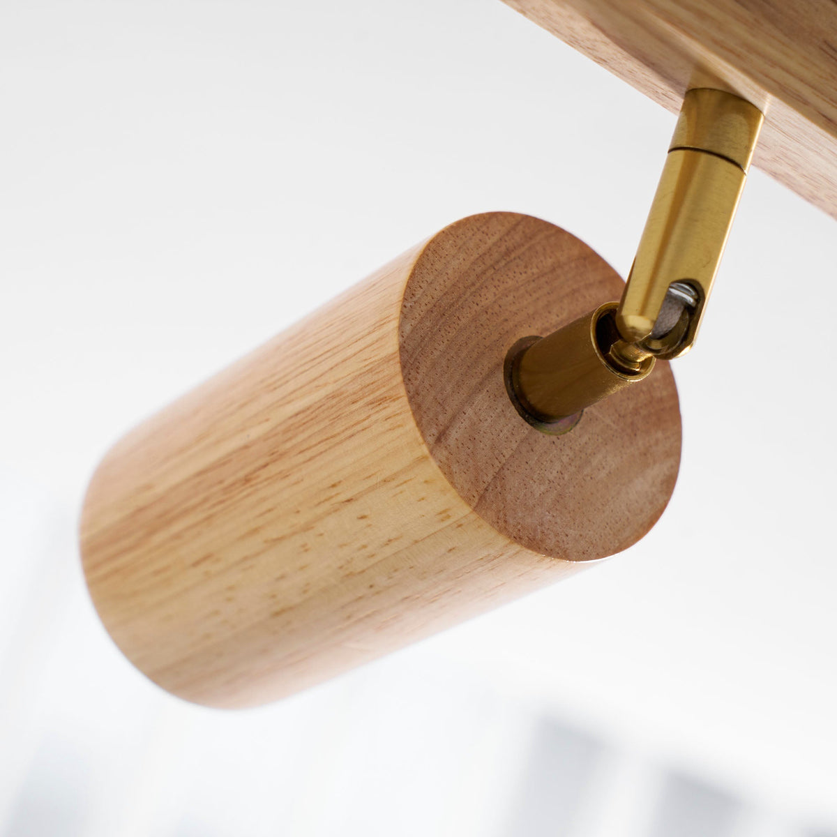 Branch Rail Ceiling Light