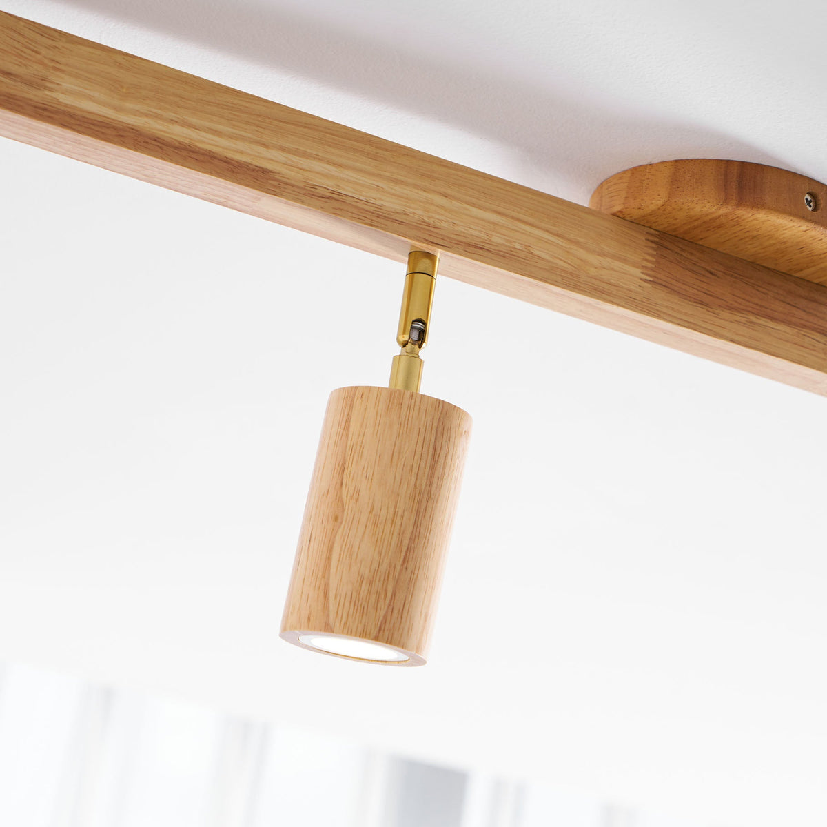 Branch Rail Ceiling Light