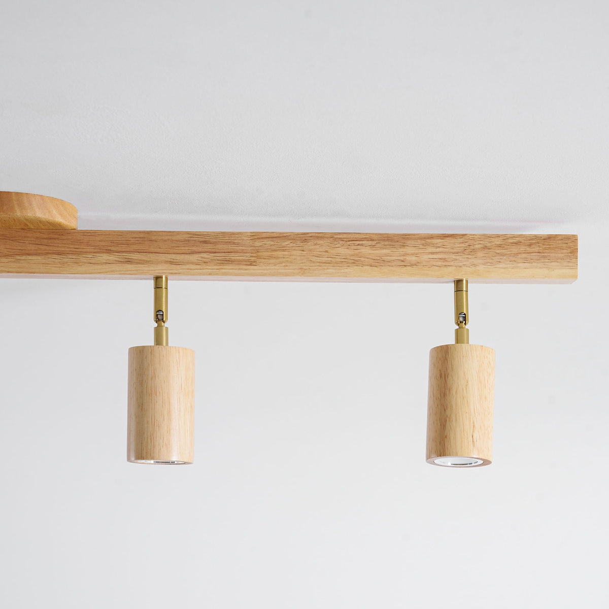 Branch Rail Ceiling Light