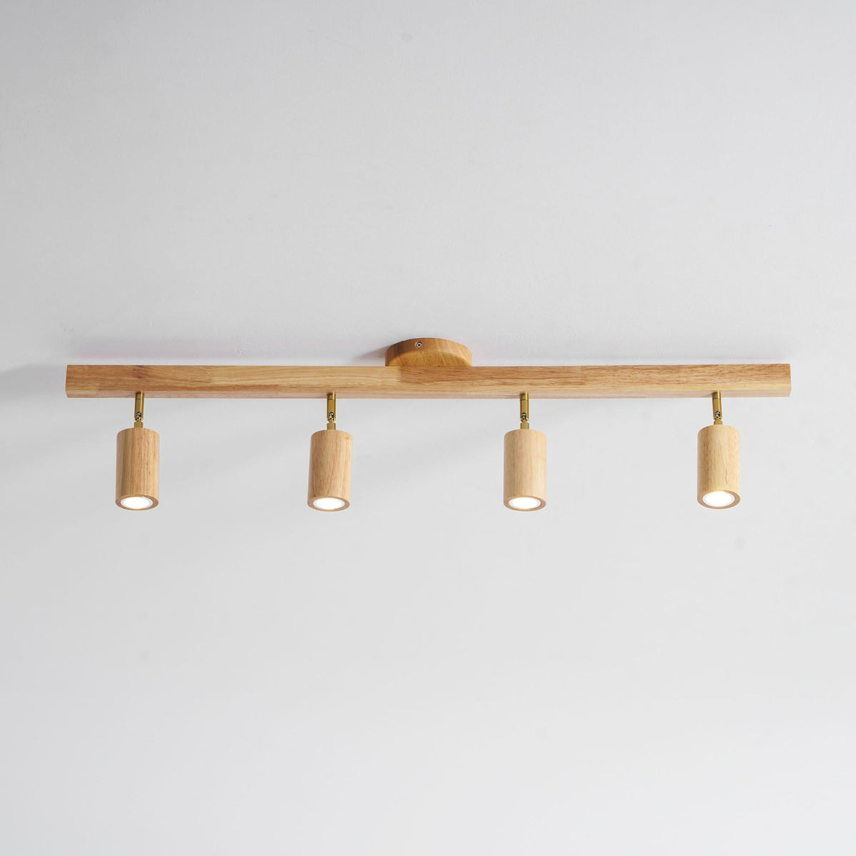 Branch Rail Ceiling Light