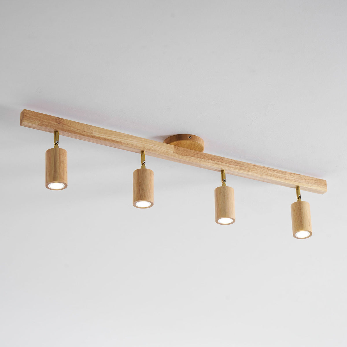 Branch Rail Ceiling Light