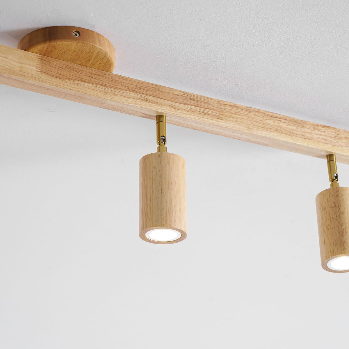 Branch Rail Ceiling Light