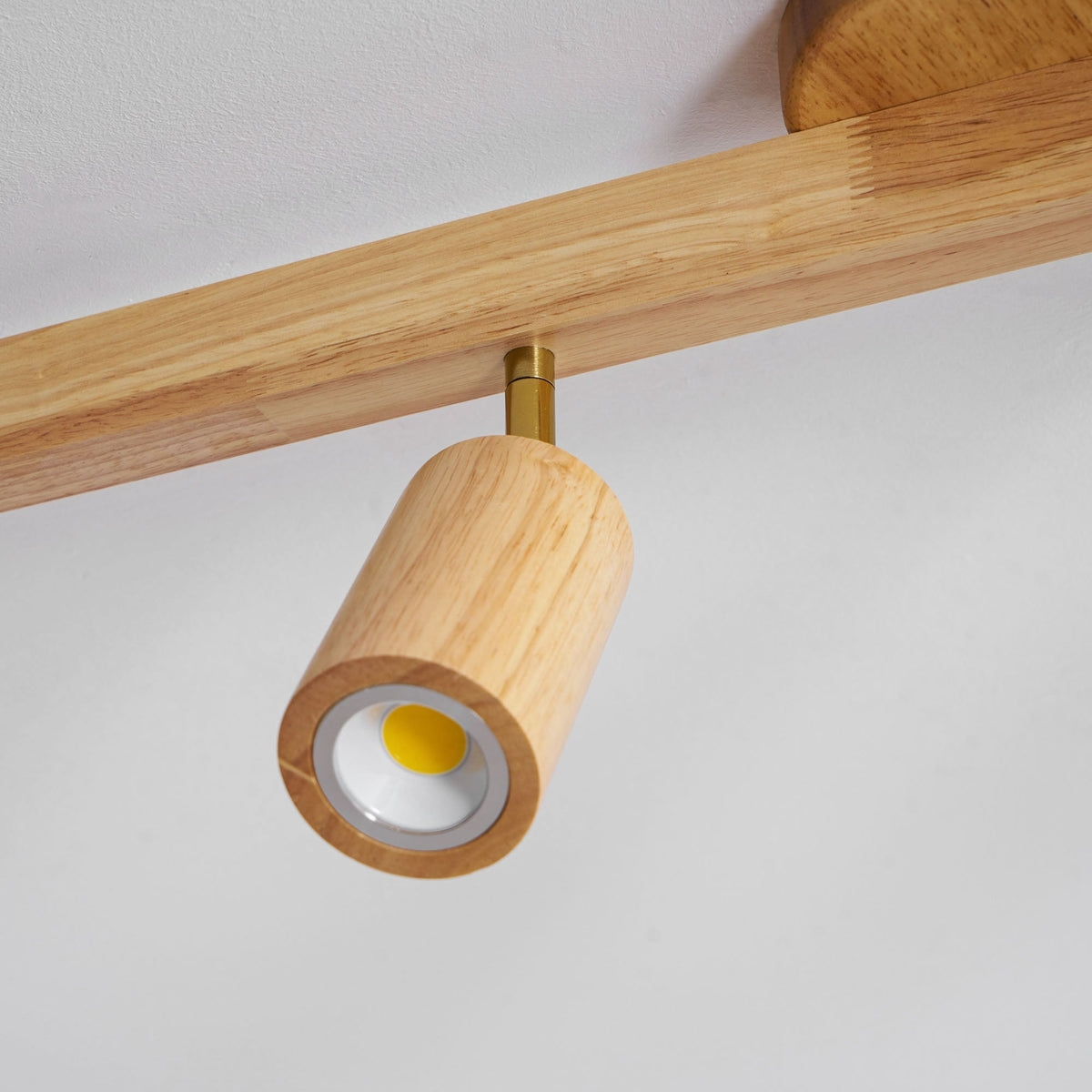 Branch Rail Ceiling Light