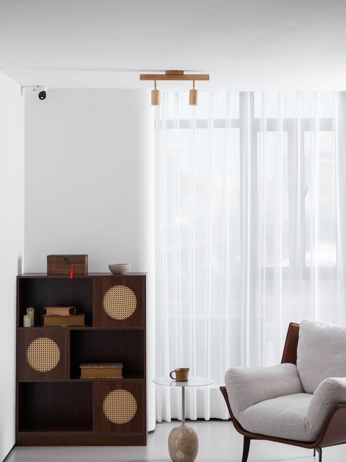 Branch Rail Ceiling Light