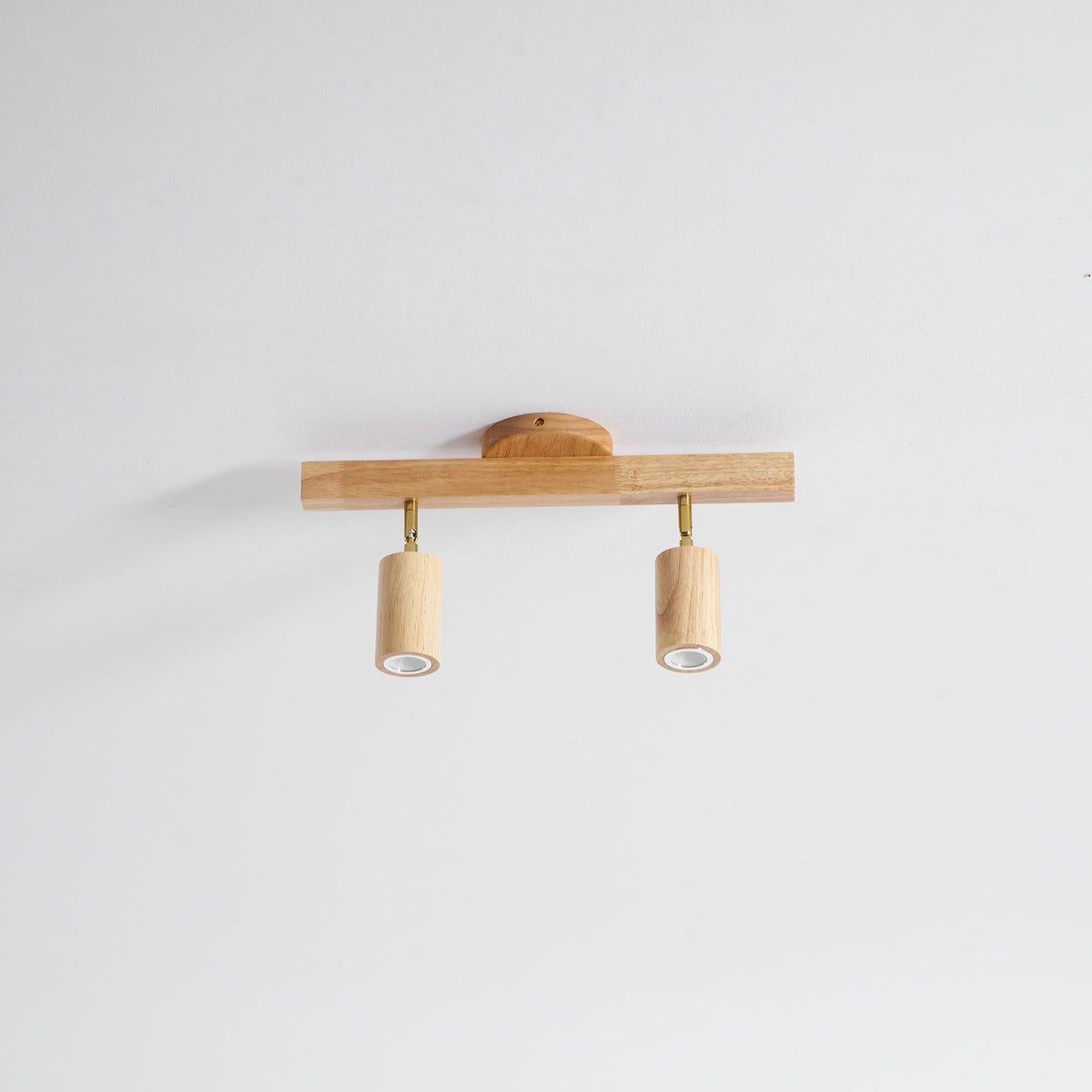 Branch Rail Ceiling Light