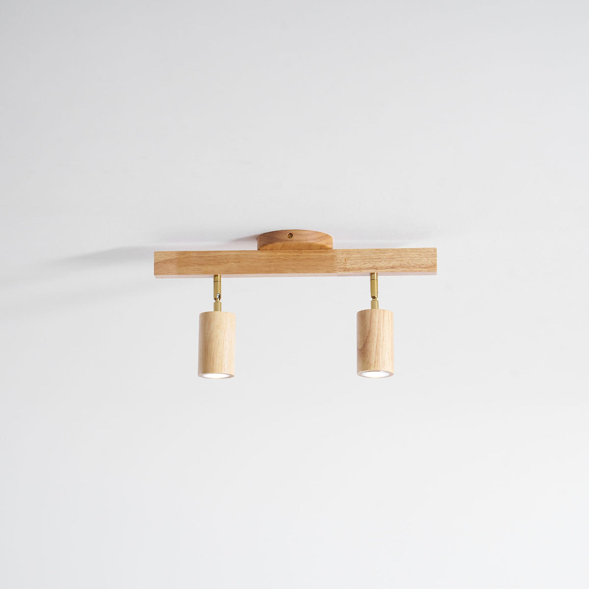 Branch Rail Ceiling Light