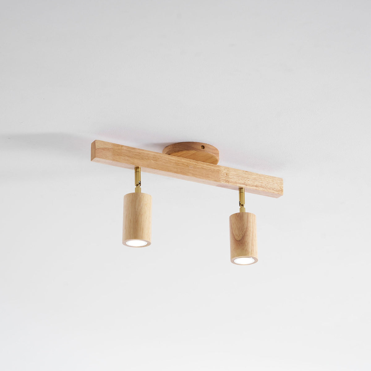 Branch Rail Ceiling Light